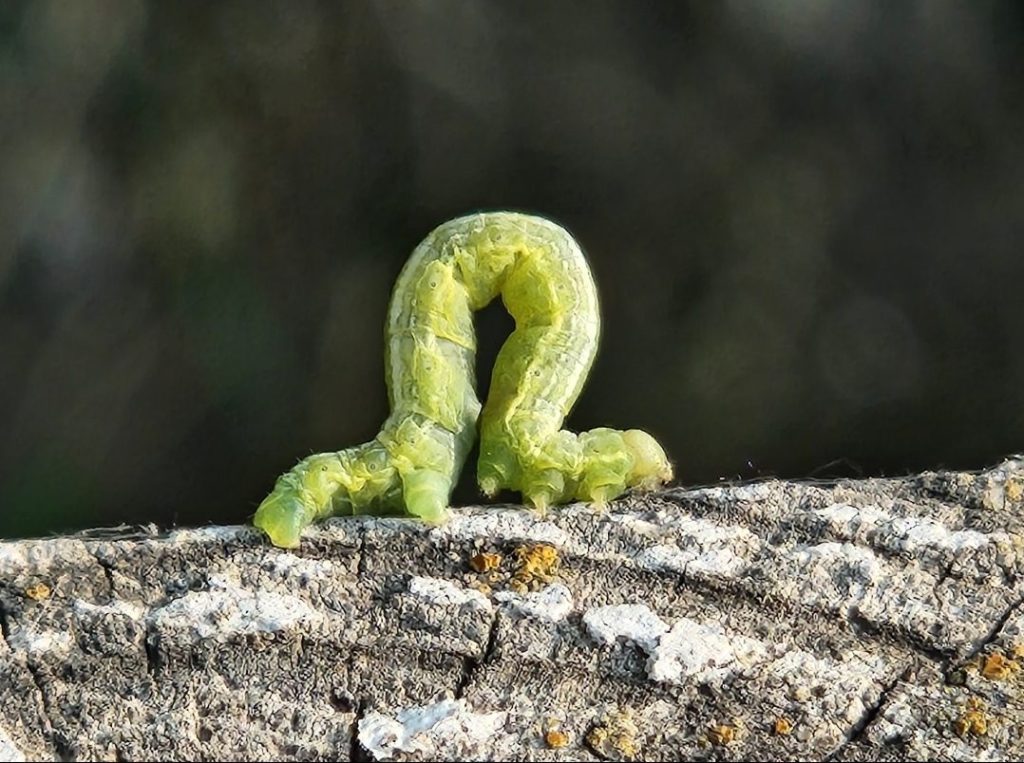 This is a first&nbsp;step.